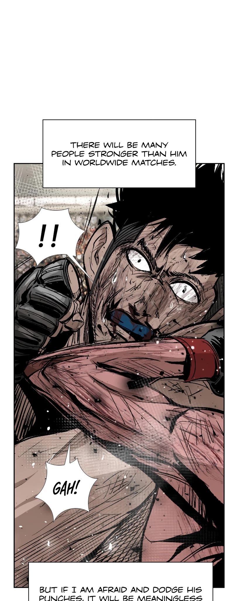 Read Shark EN Manga Online