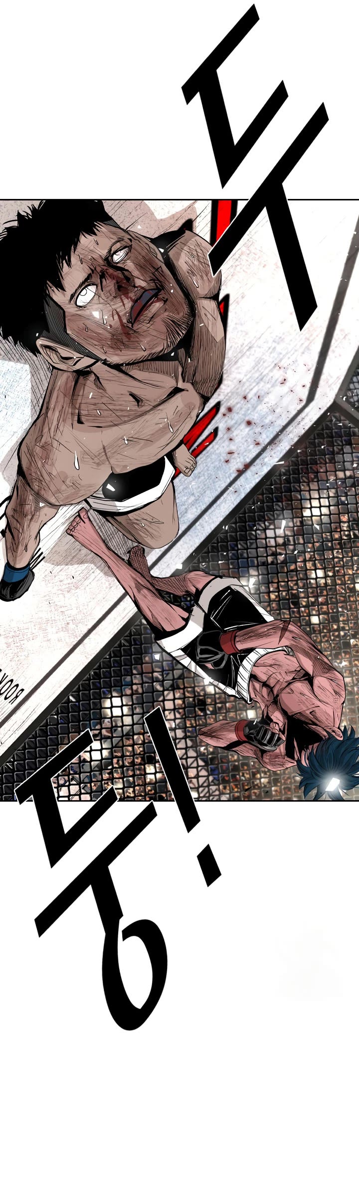 Read Shark EN Manga Online
