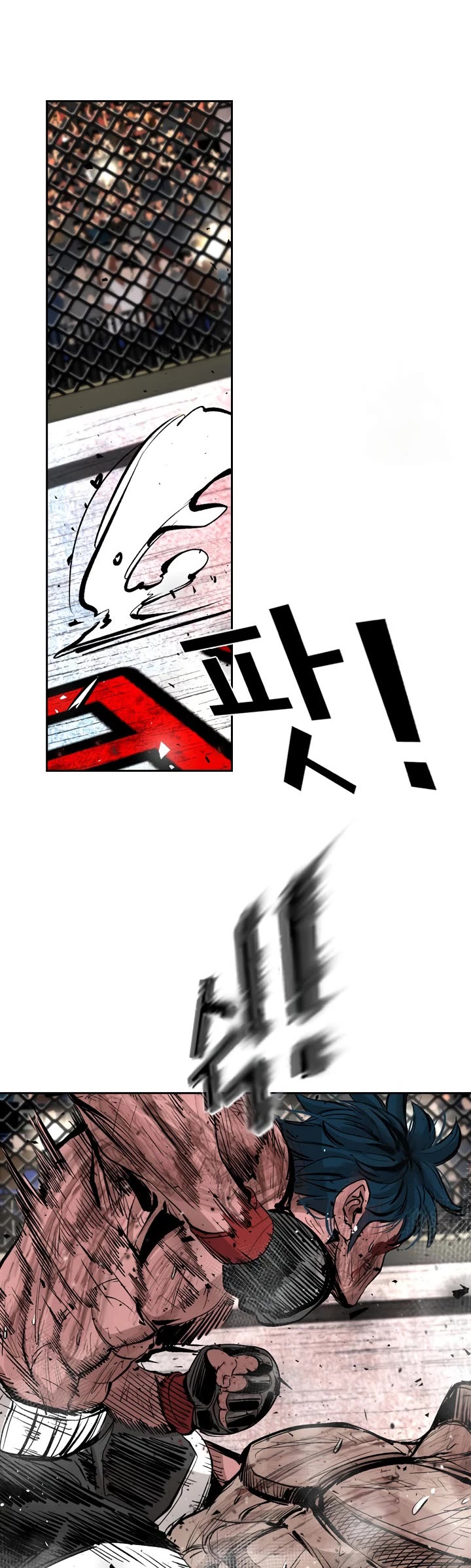 Read Shark EN Manga Online