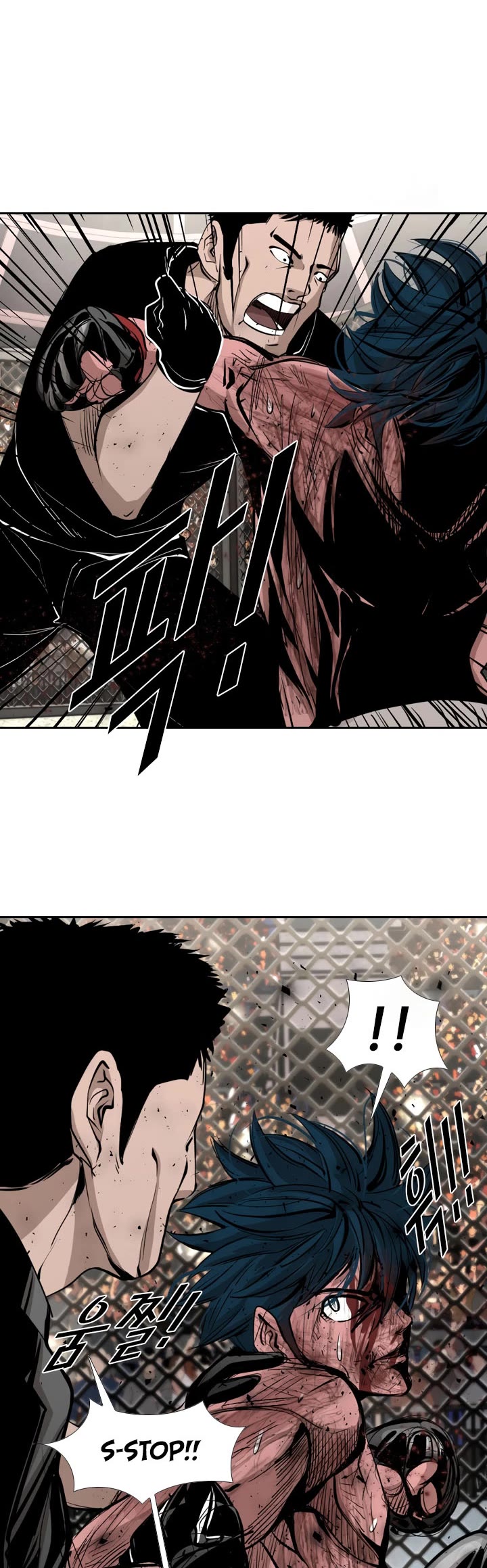 Read Shark EN Manga Online