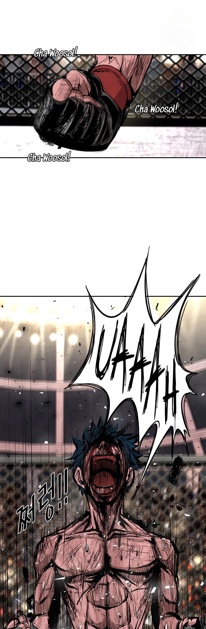 Read Shark EN Manga Online