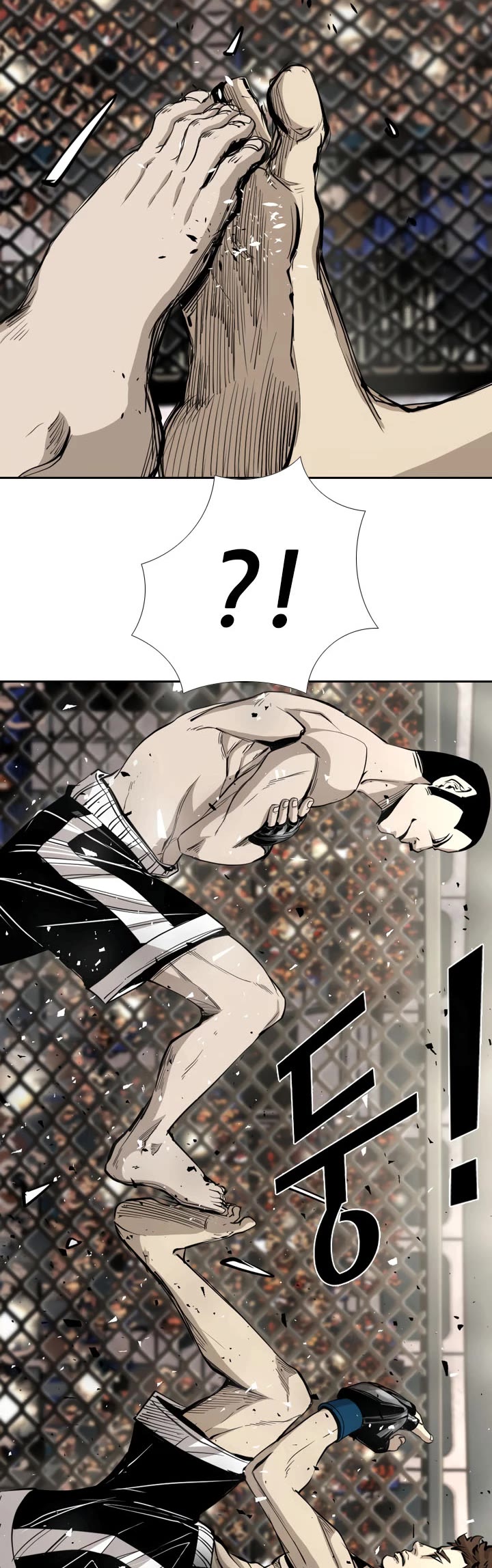 Read Shark EN Manga Online