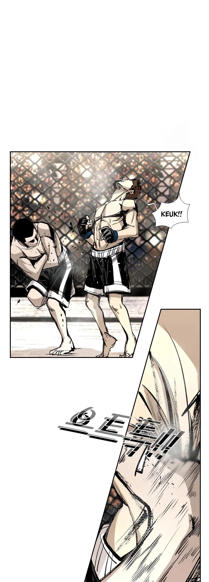 Read Shark EN Manga Online