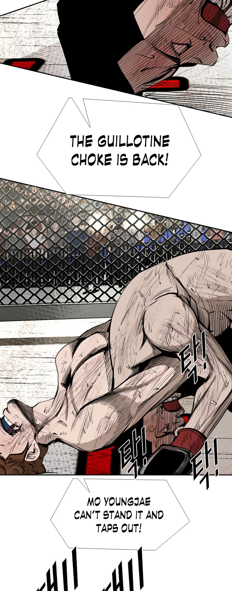 Read Shark EN Manga Online
