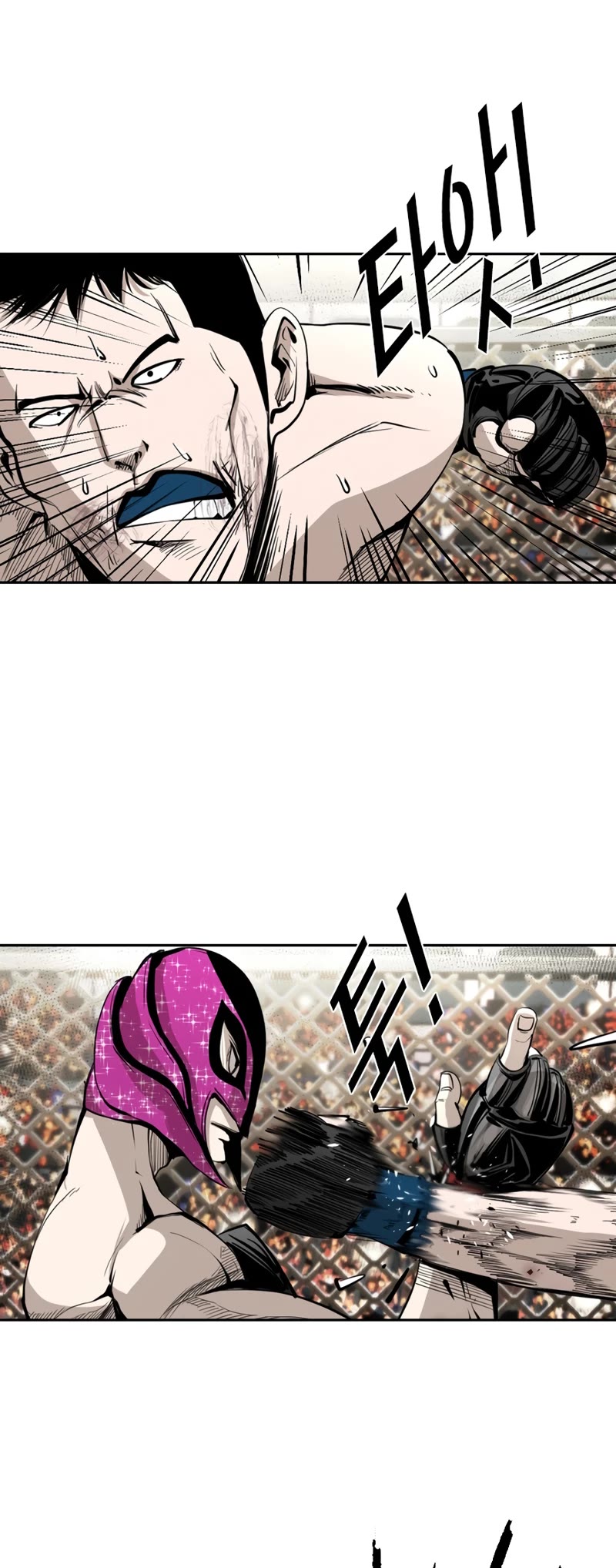 Read Shark EN Manga Online