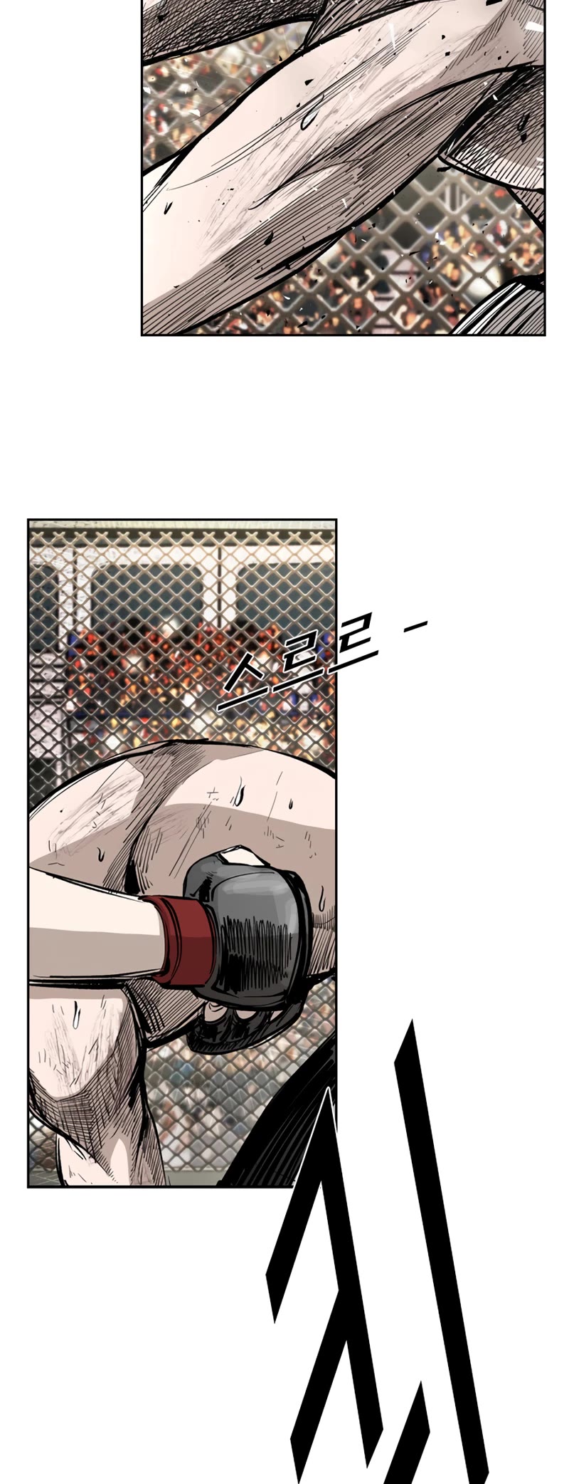 Read Shark EN Manga Online