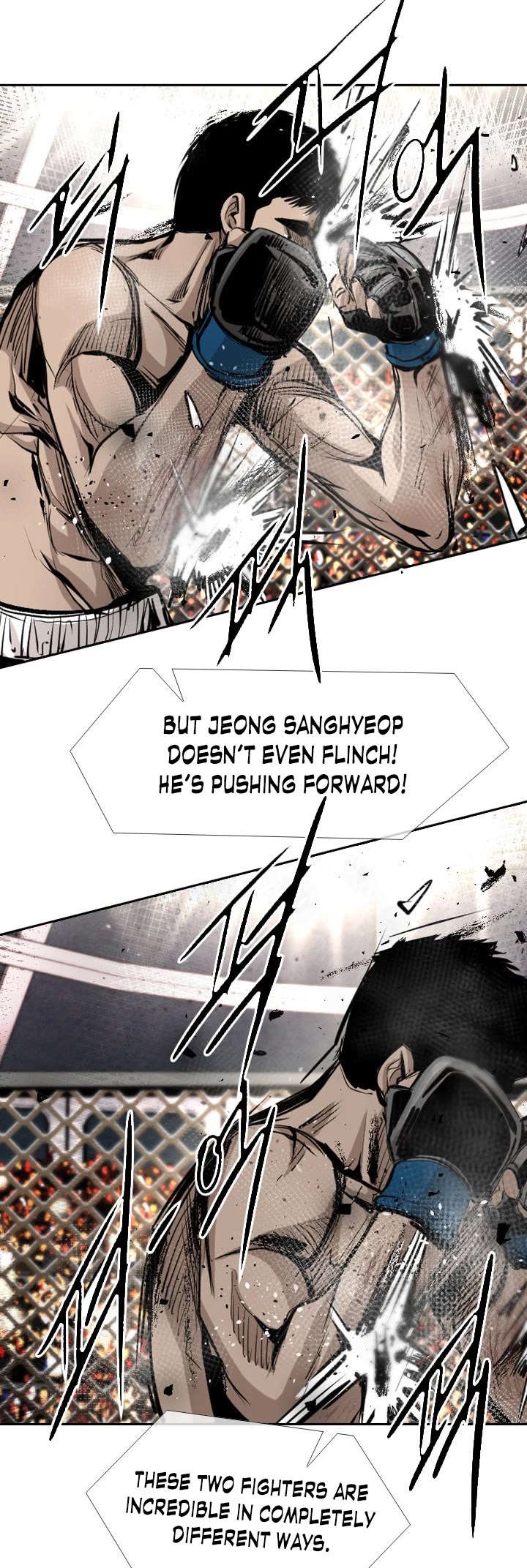 Read Shark EN Manga Online