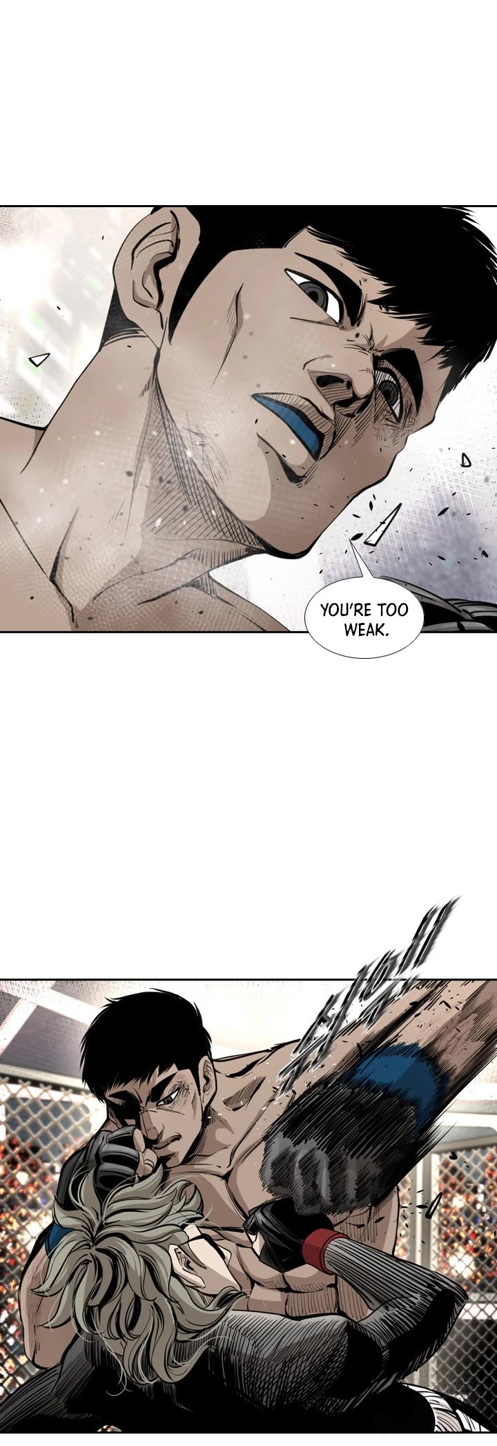 Read Shark EN Manga Online