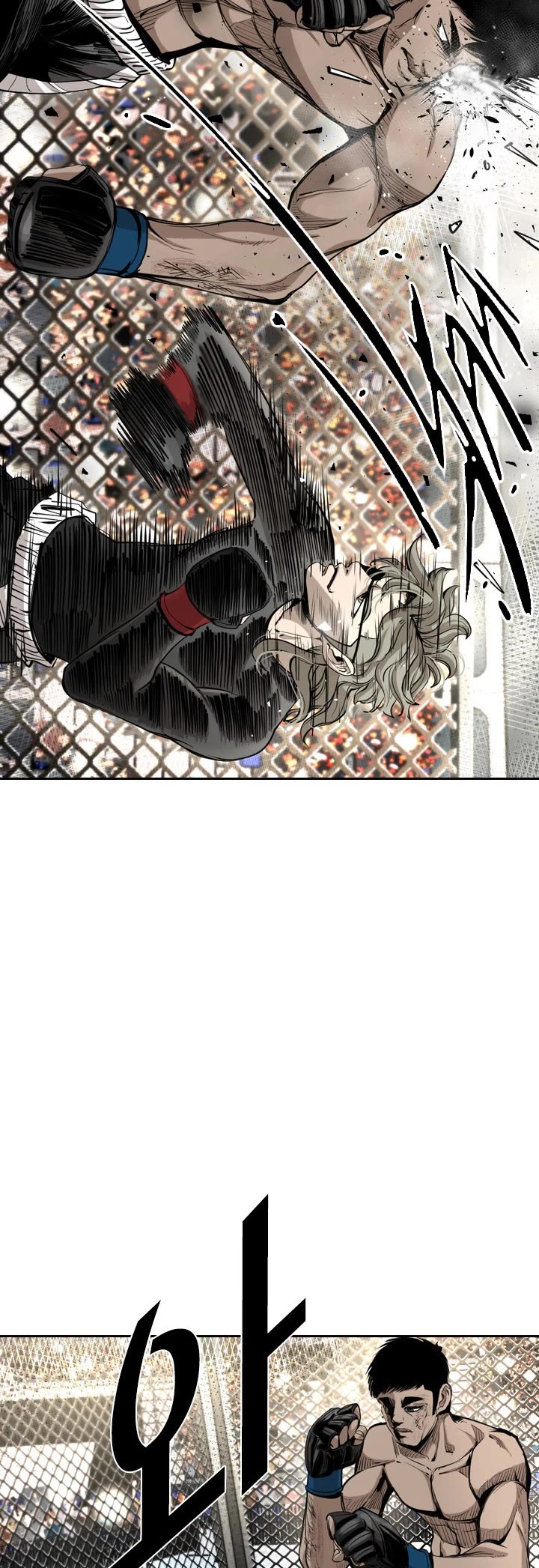 Read Shark EN Manga Online