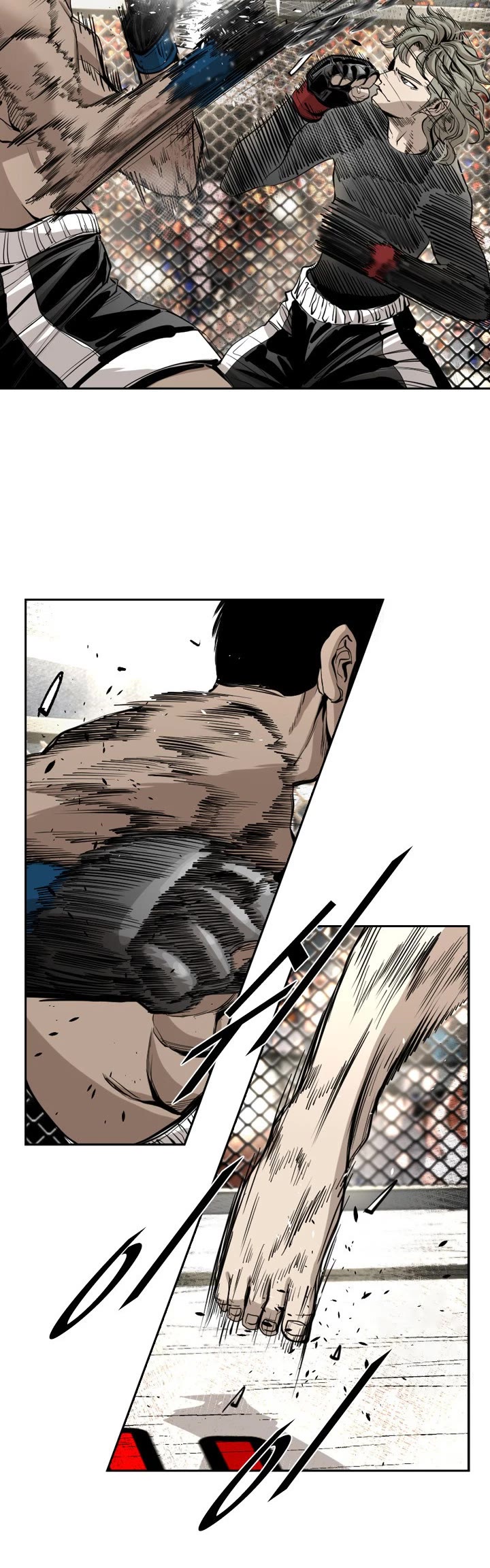 Read Shark EN Manga Online