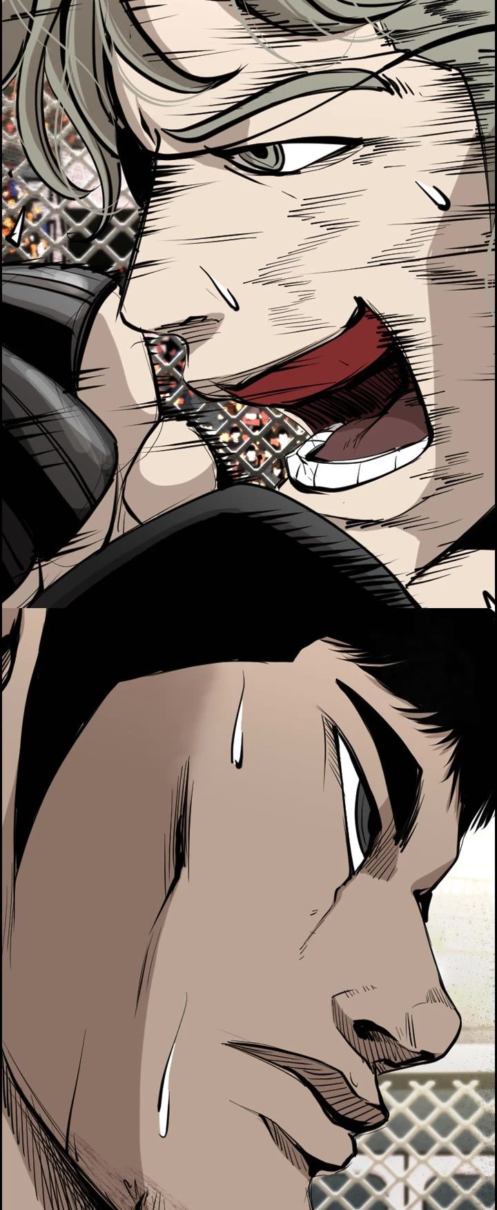 Read Shark EN Manga Online