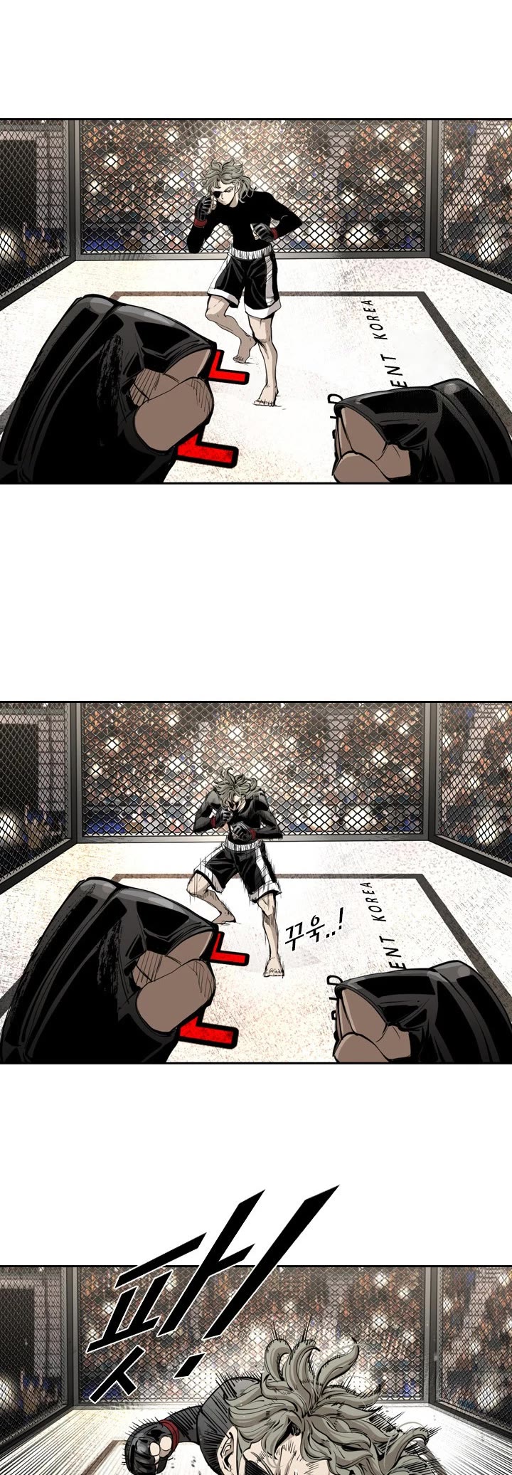 Read Shark EN Manga Online