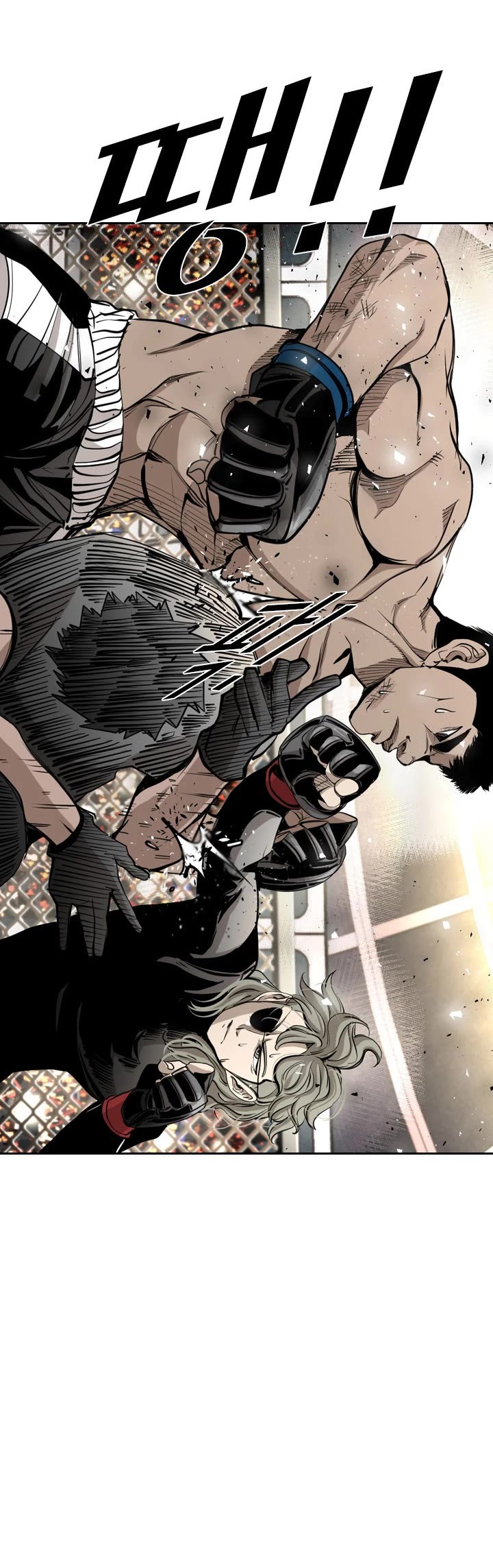 Read Shark EN Manga Online