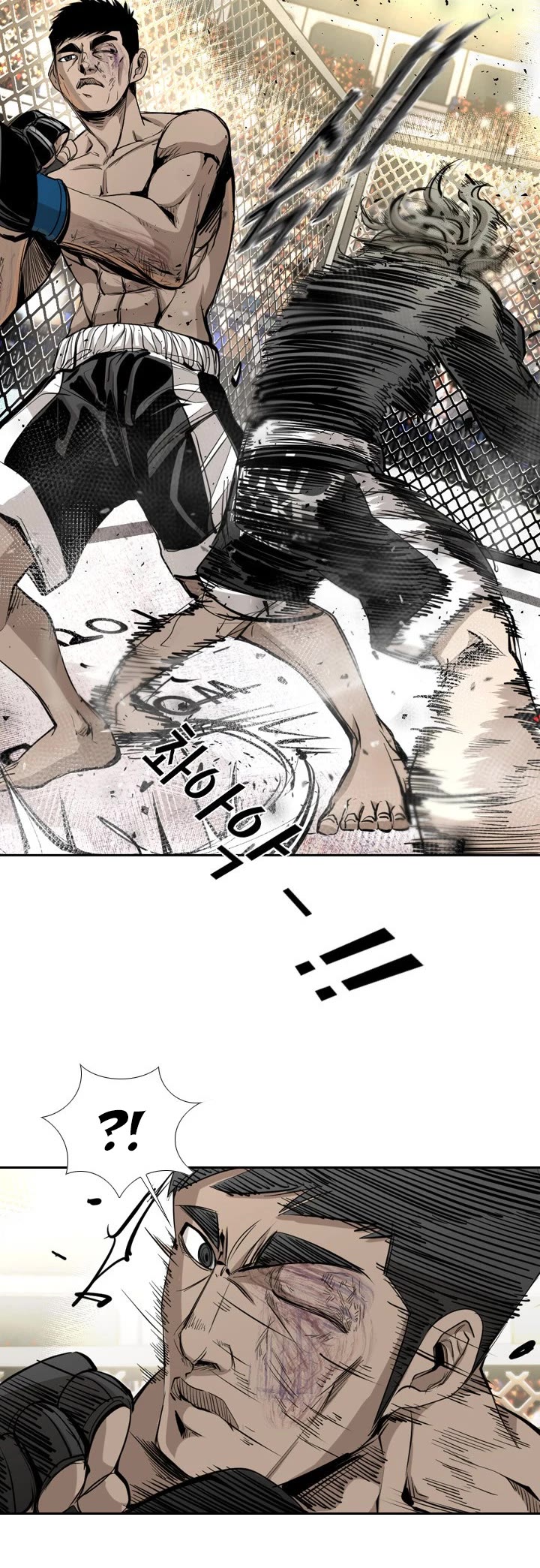 Read Shark EN Manga Online