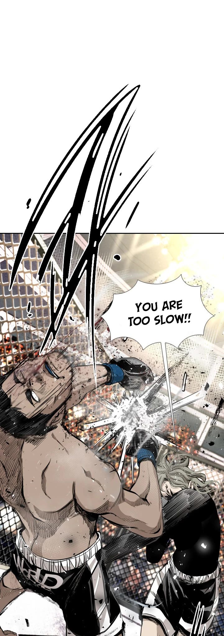 Read Shark EN Manga Online