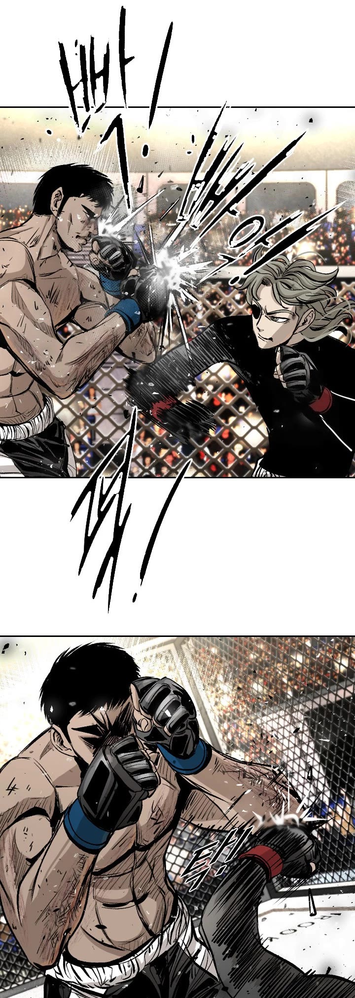 Read Shark EN Manga Online