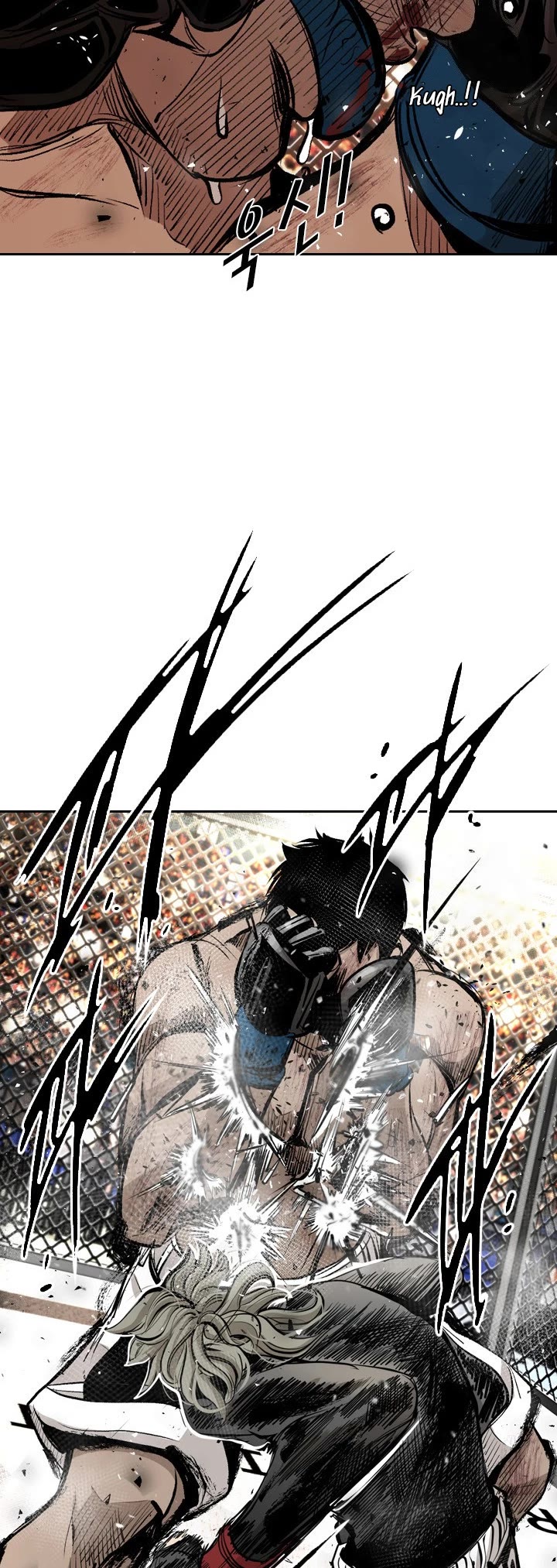 Read Shark EN Manga Online