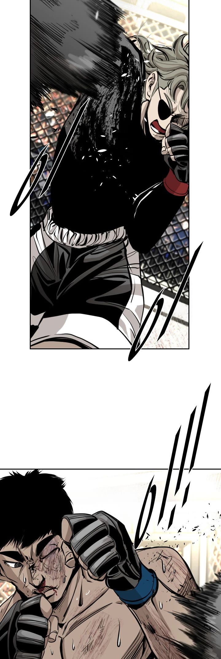 Read Shark EN Manga Online