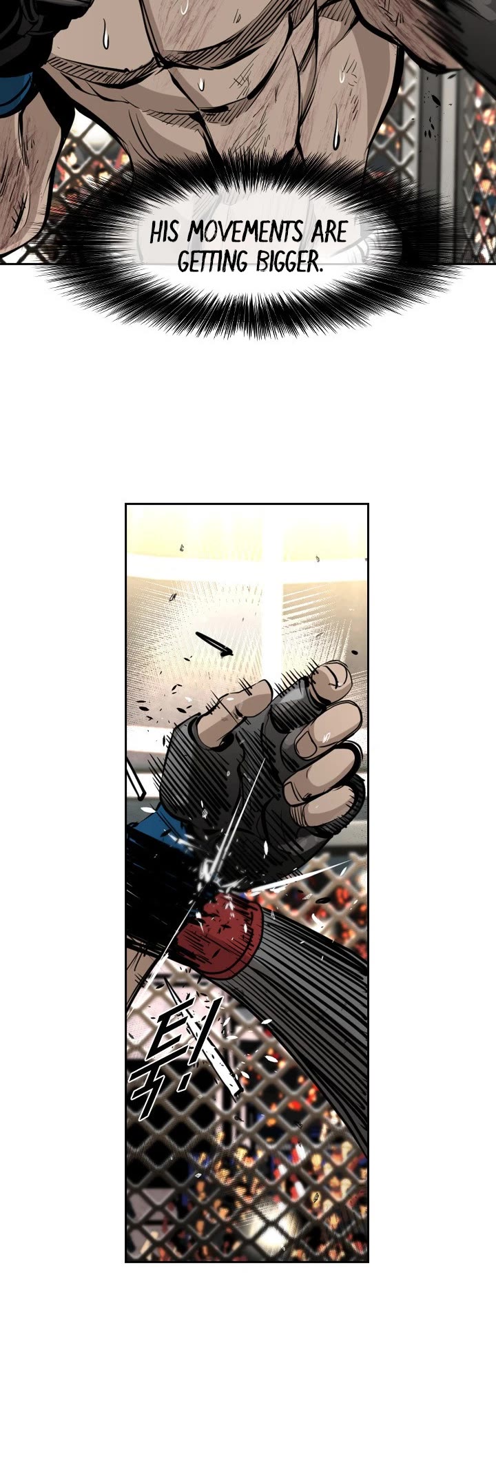 Read Shark EN Manga Online