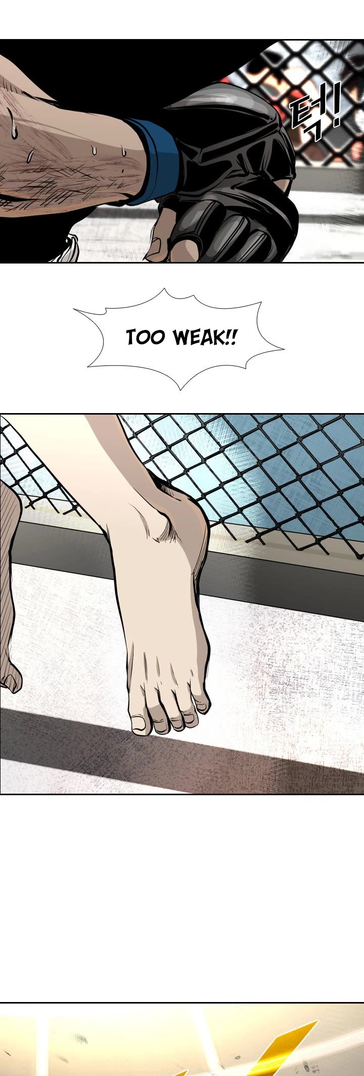 Read Shark EN Manga Online