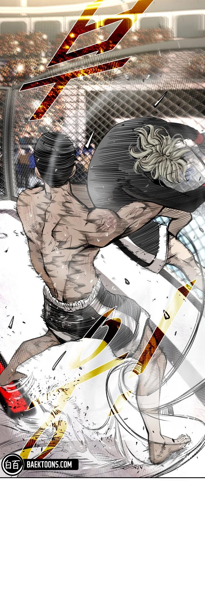 Read Shark EN Manga Online