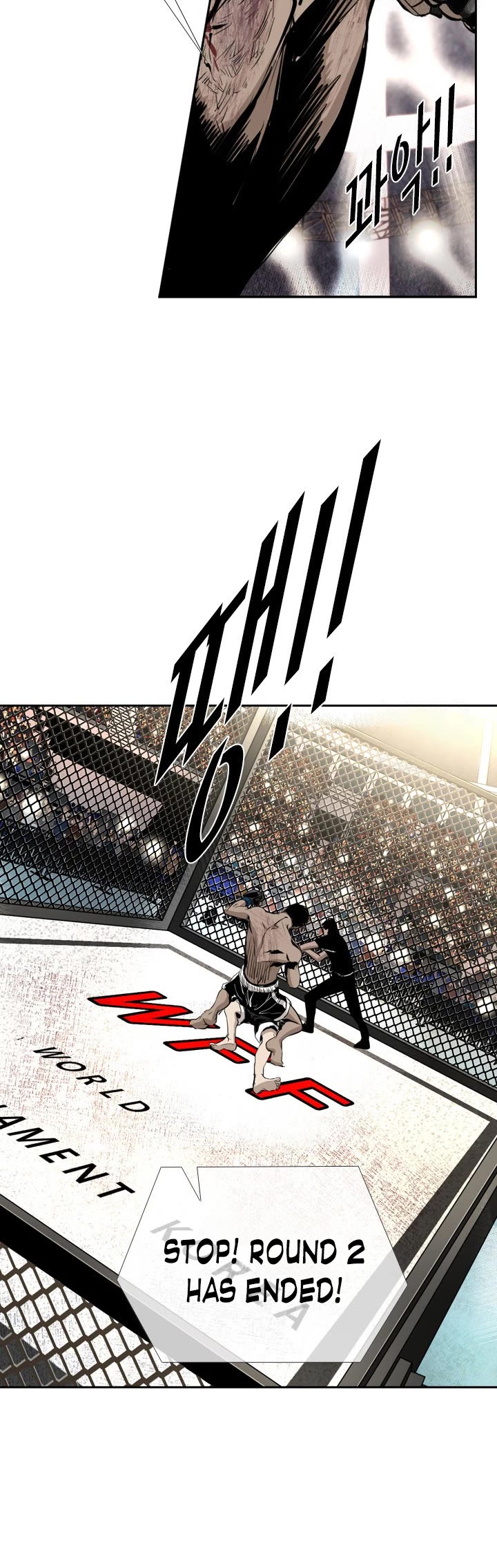 Read Shark EN Manga Online