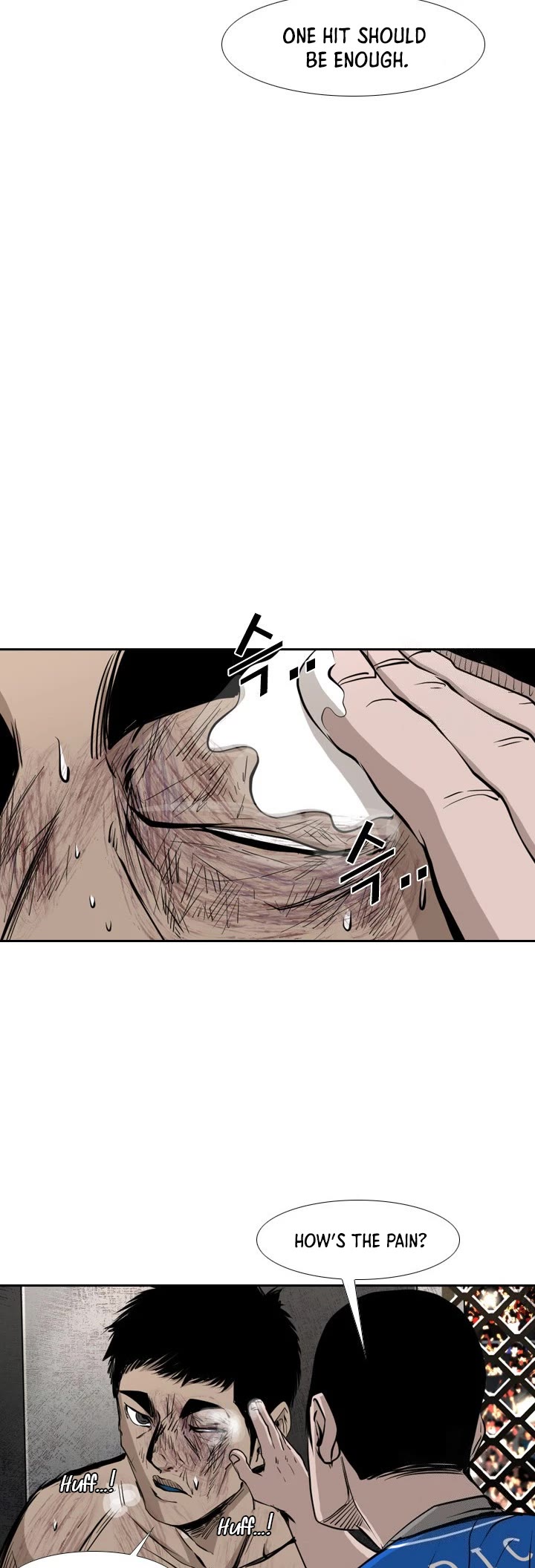 Read Shark EN Manga Online