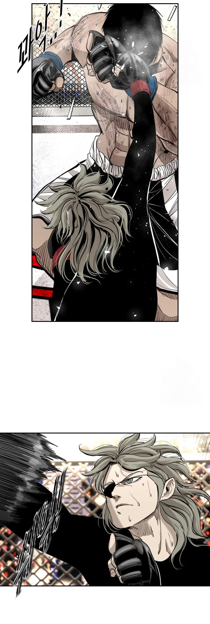 Read Shark EN Manga Online