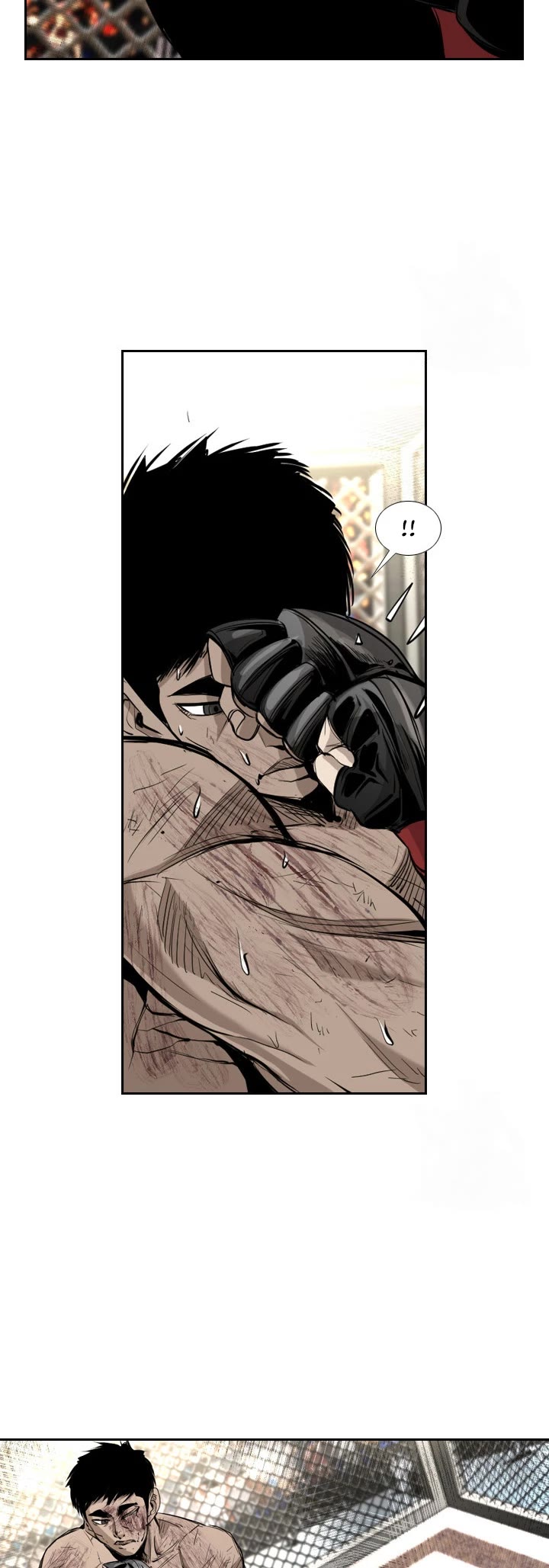 Read Shark EN Manga Online