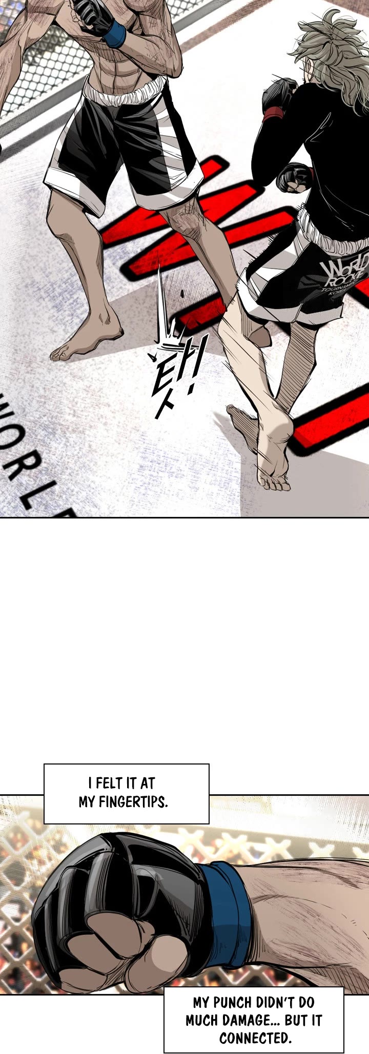 Read Shark EN Manga Online