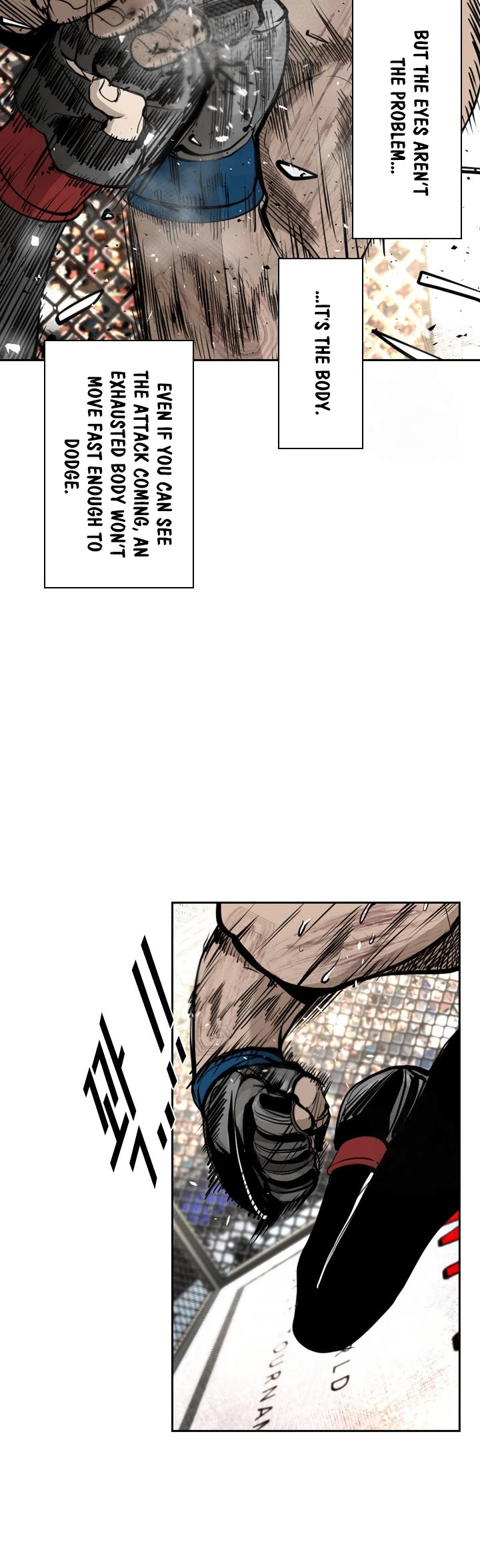 Read Shark EN Manga Online