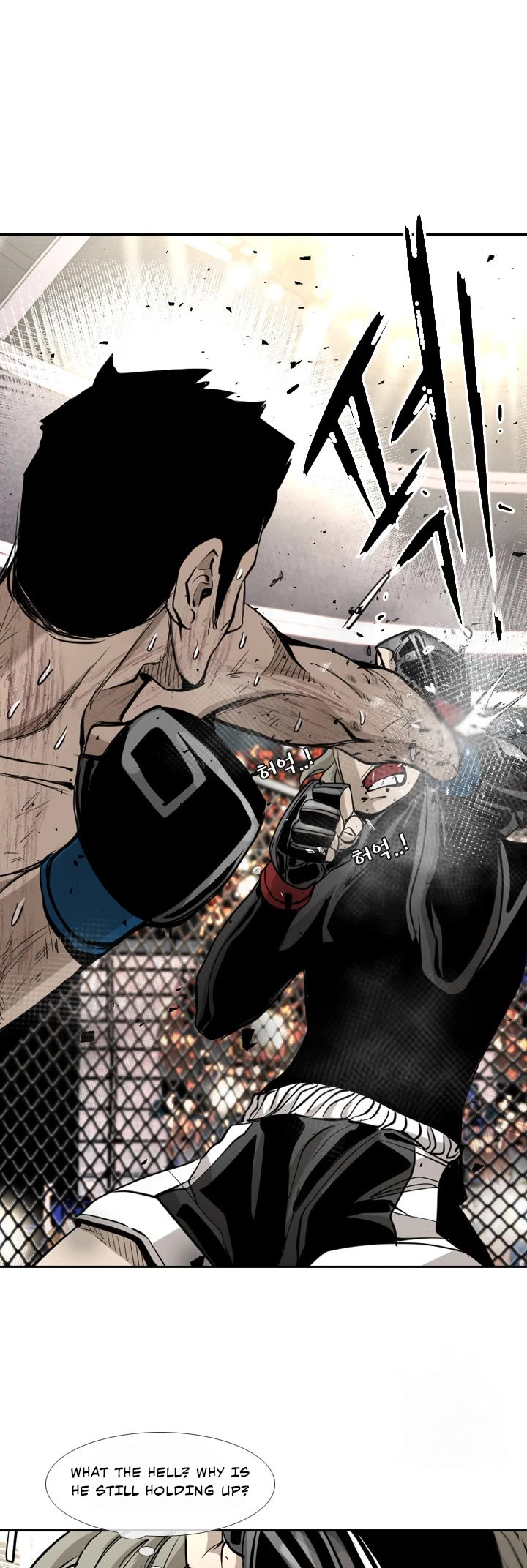 Read Shark EN Manga Online