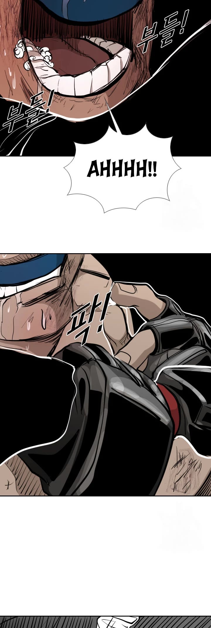 Read Shark EN Manga Online