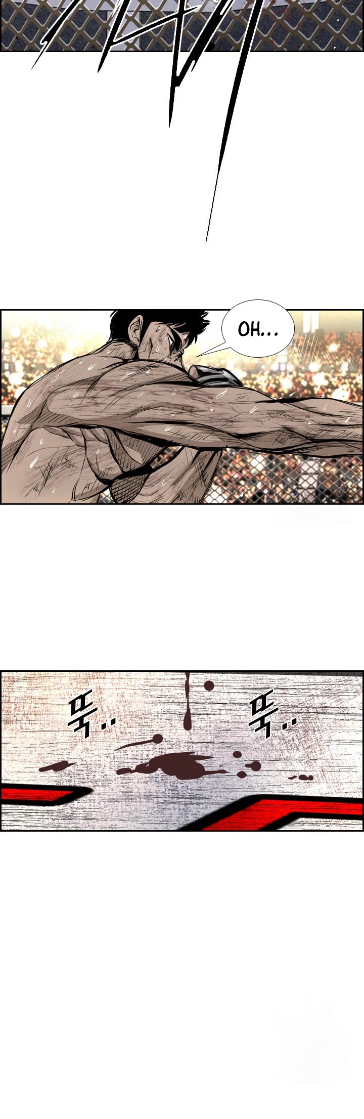 Read Shark EN Manga Online