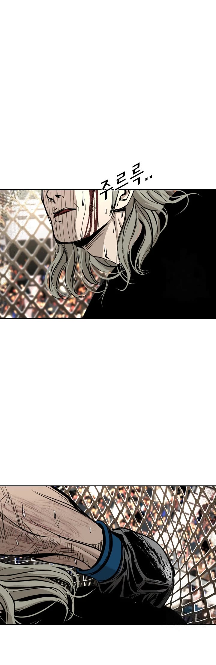 Read Shark EN Manga Online