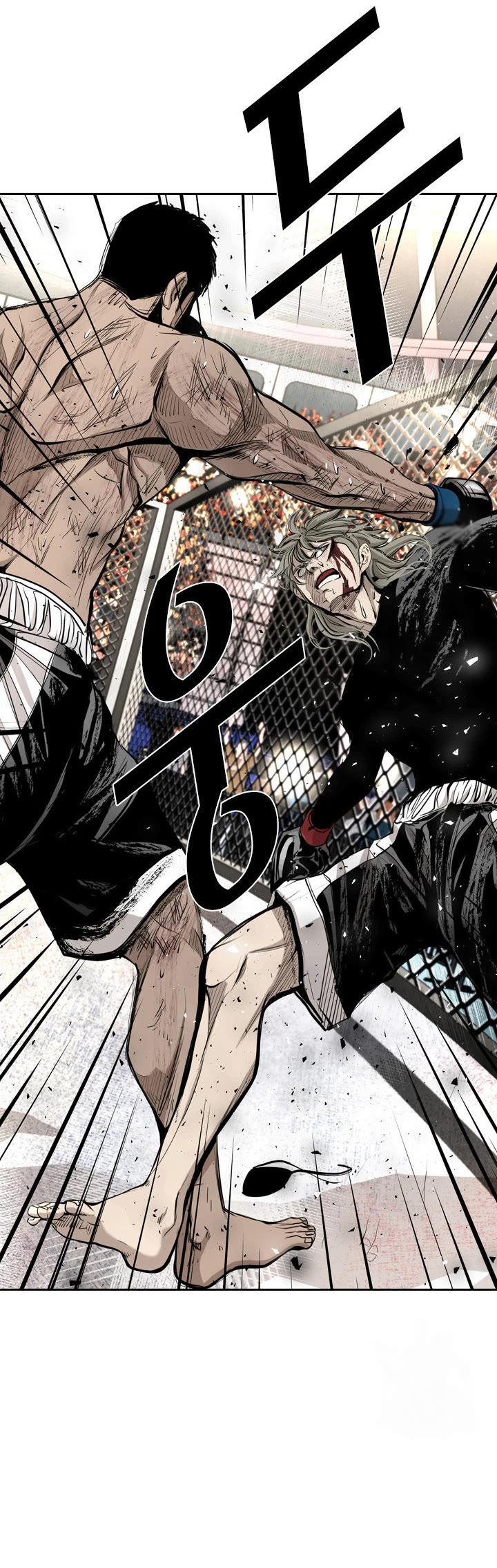 Read Shark EN Manga Online