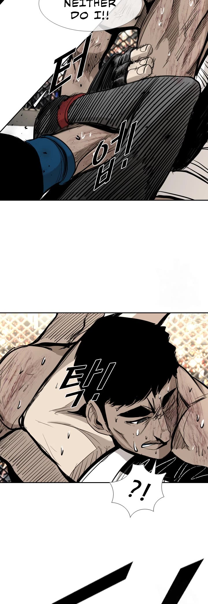 Read Shark EN Manga Online