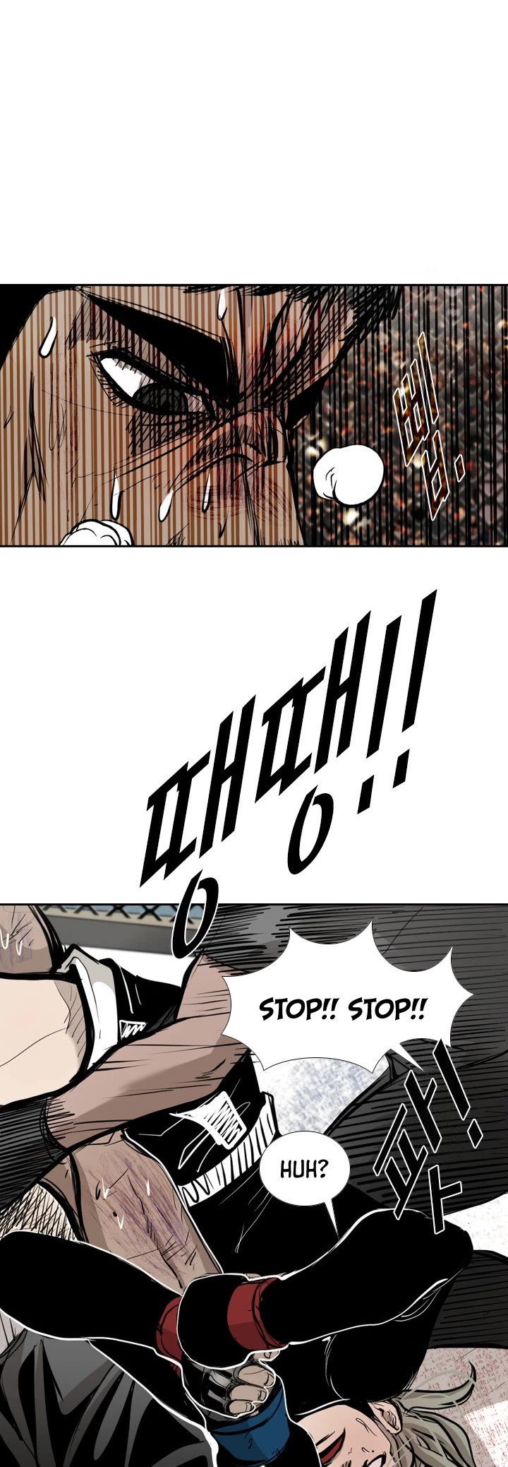 Read Shark EN Manga Online
