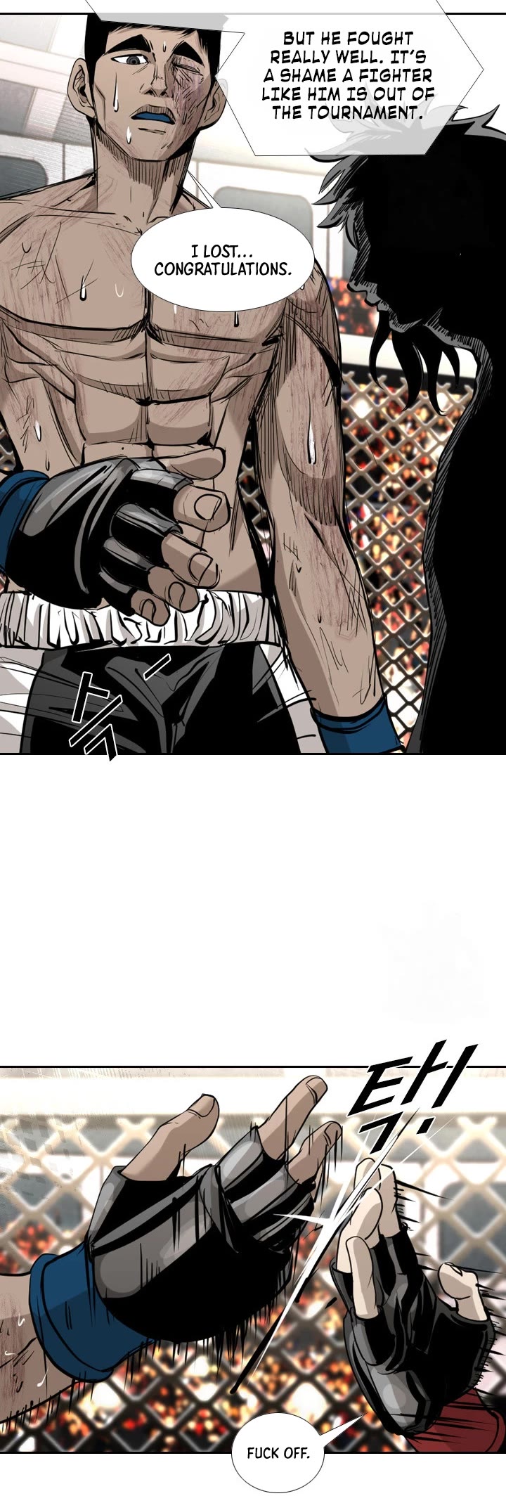 Read Shark EN Manga Online