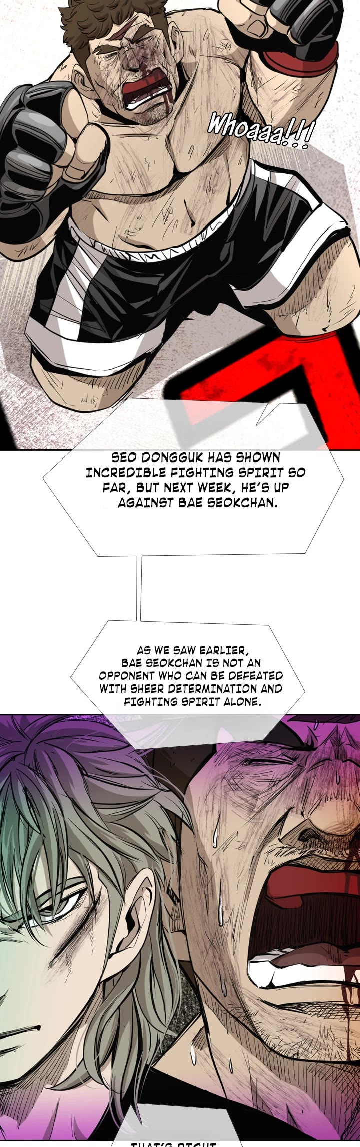 Read Shark EN Manga Online