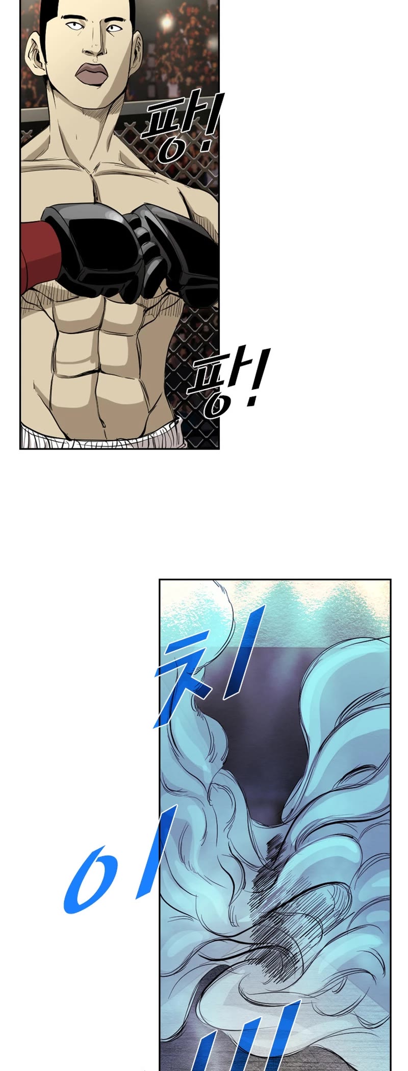 Read Shark EN Manga Online