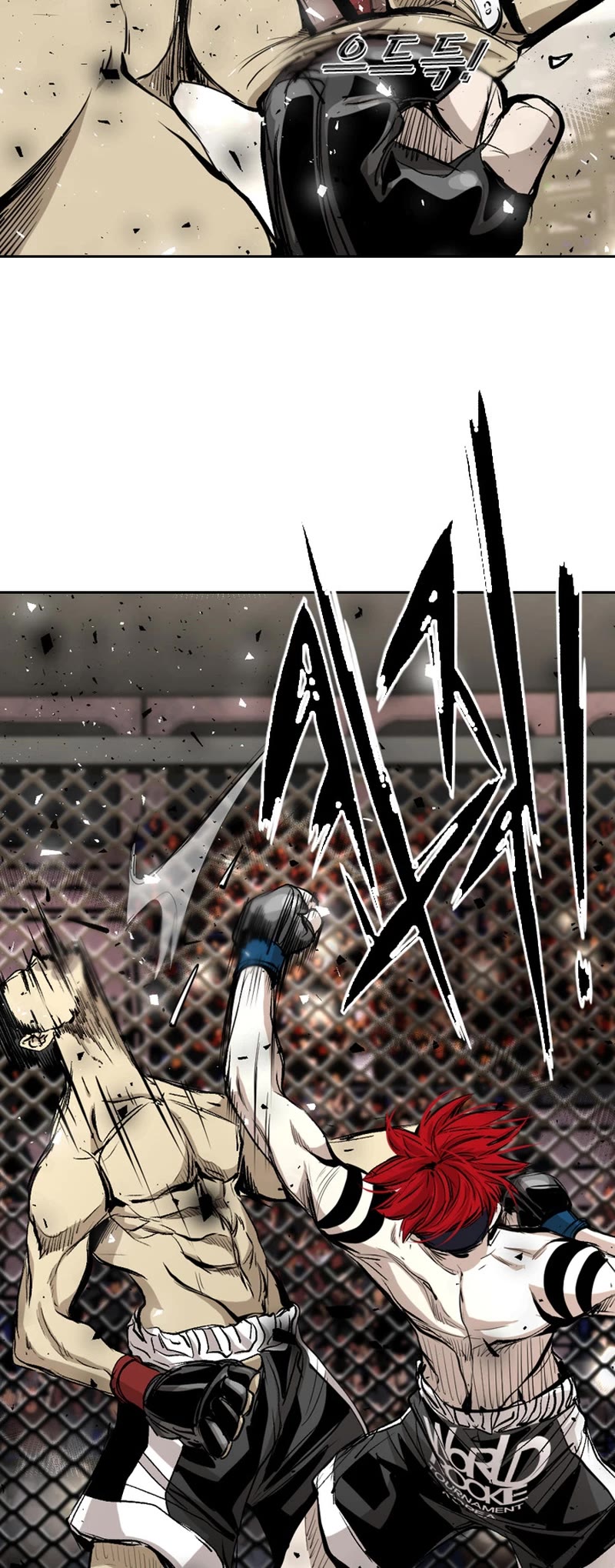 Read Shark EN Manga Online