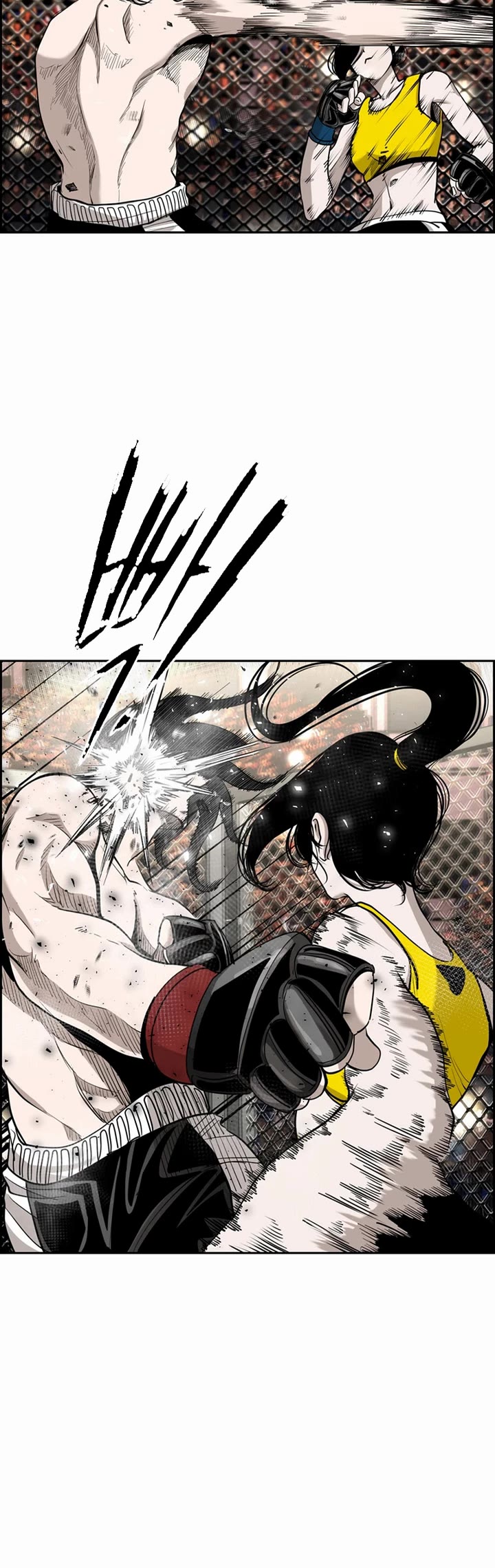 Read Shark EN Manga Online