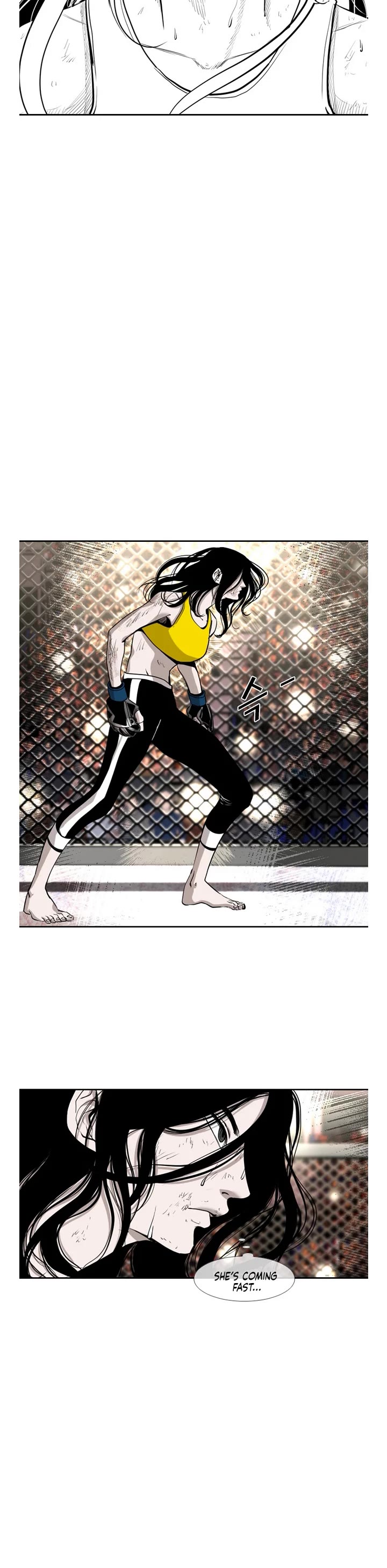 Read Shark EN Manga Online