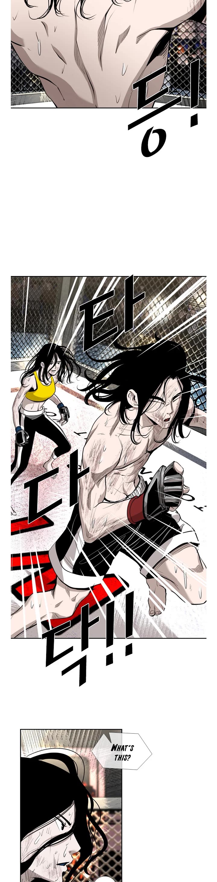 Read Shark EN Manga Online