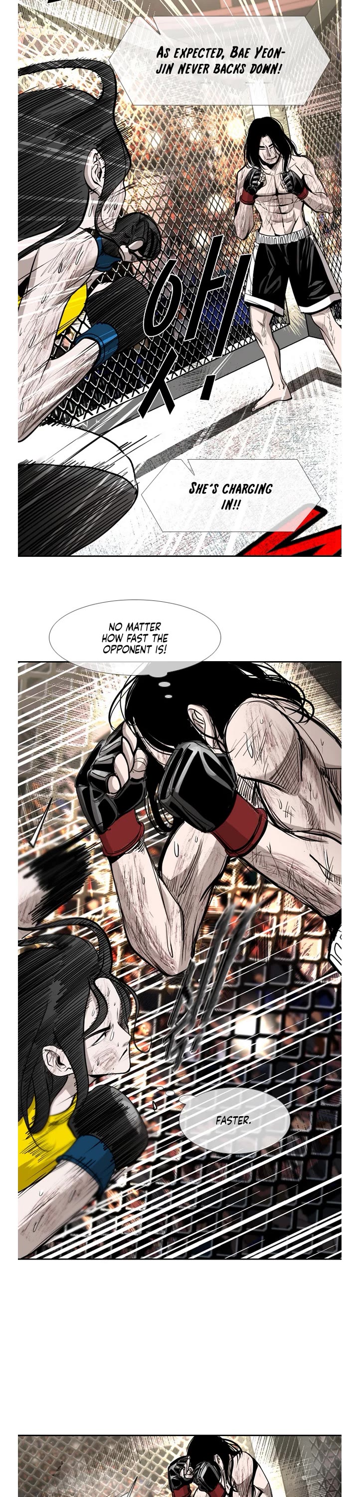 Read Shark EN Manga Online