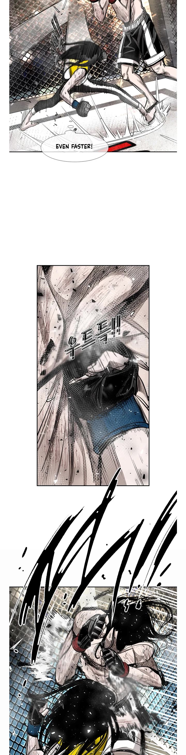 Read Shark EN Manga Online