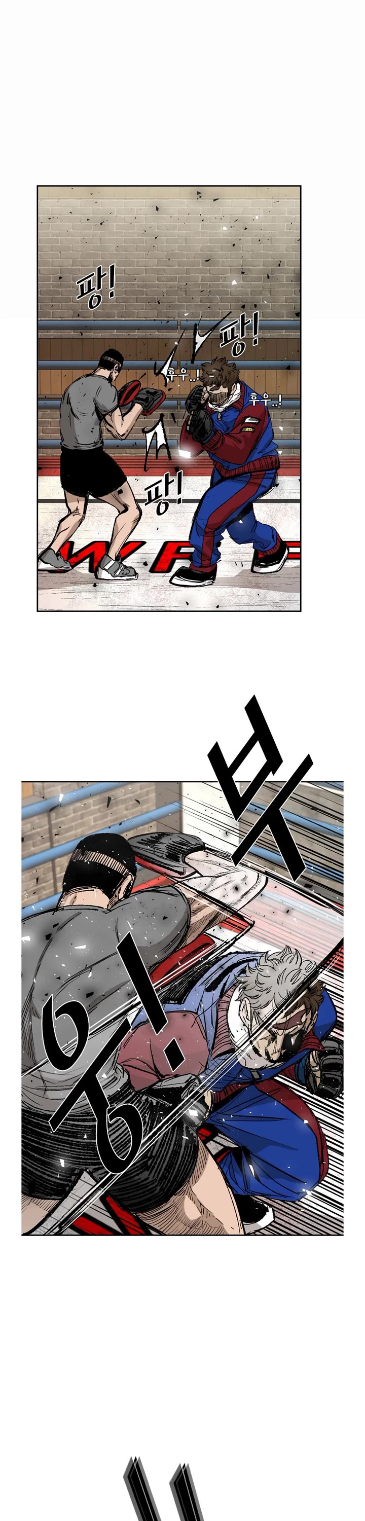 Read Shark EN Manga Online