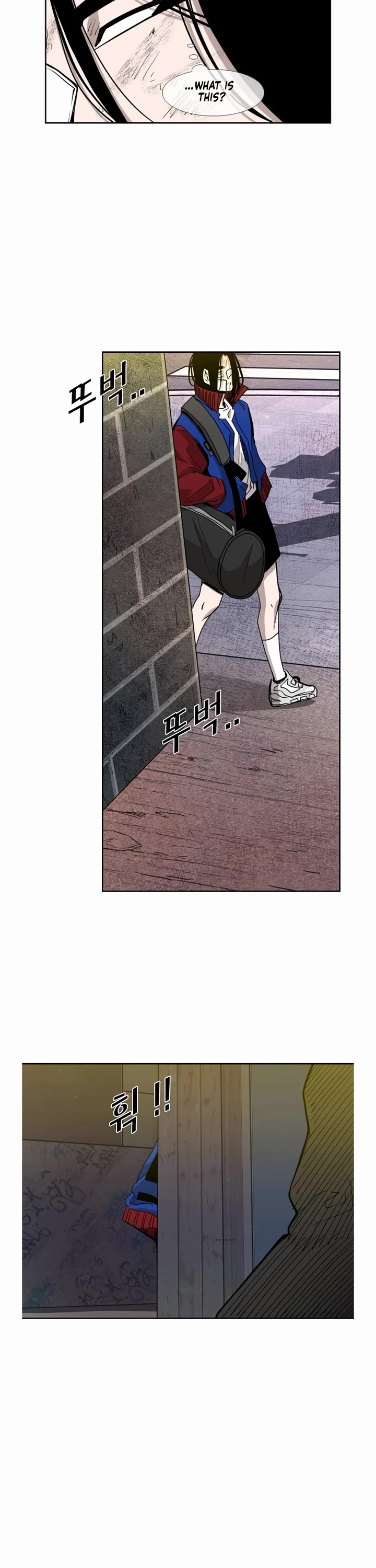 Read Shark EN Manga Online