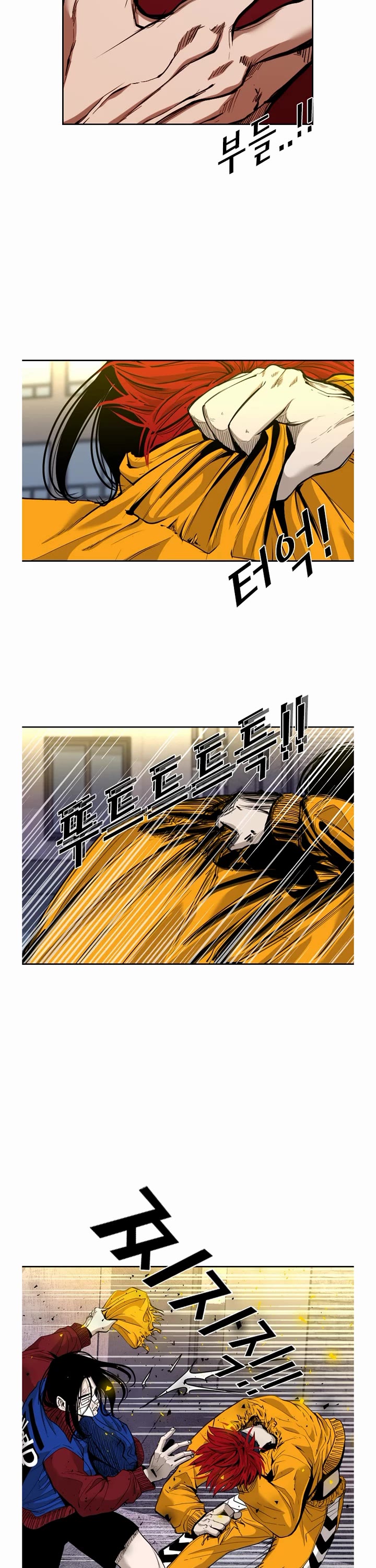 Read Shark EN Manga Online